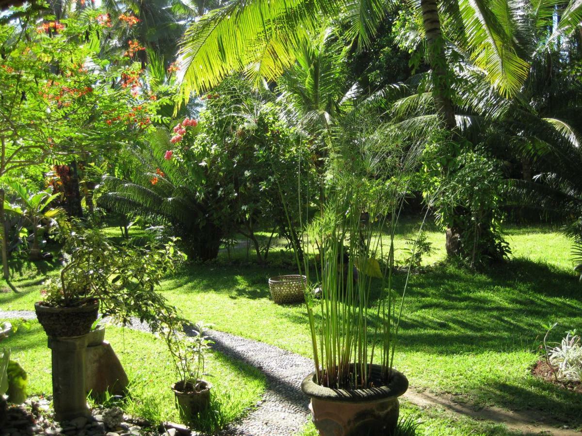 Bali Sandat Tejakula Esterno foto